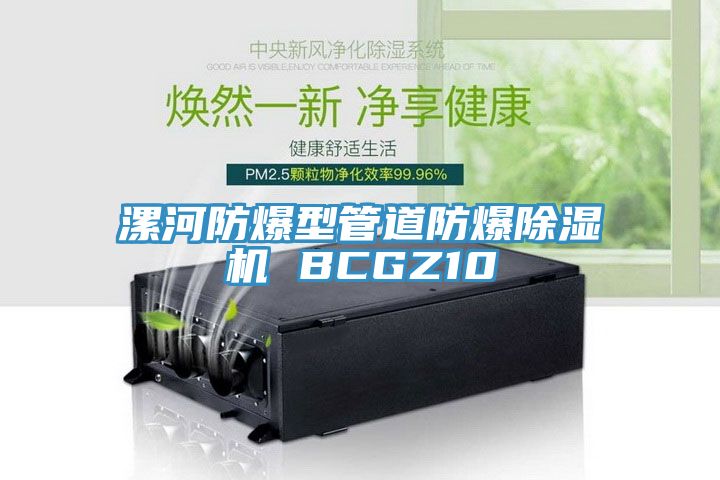 漯河防爆型管道防爆猫咪成人官网 BCGZ10