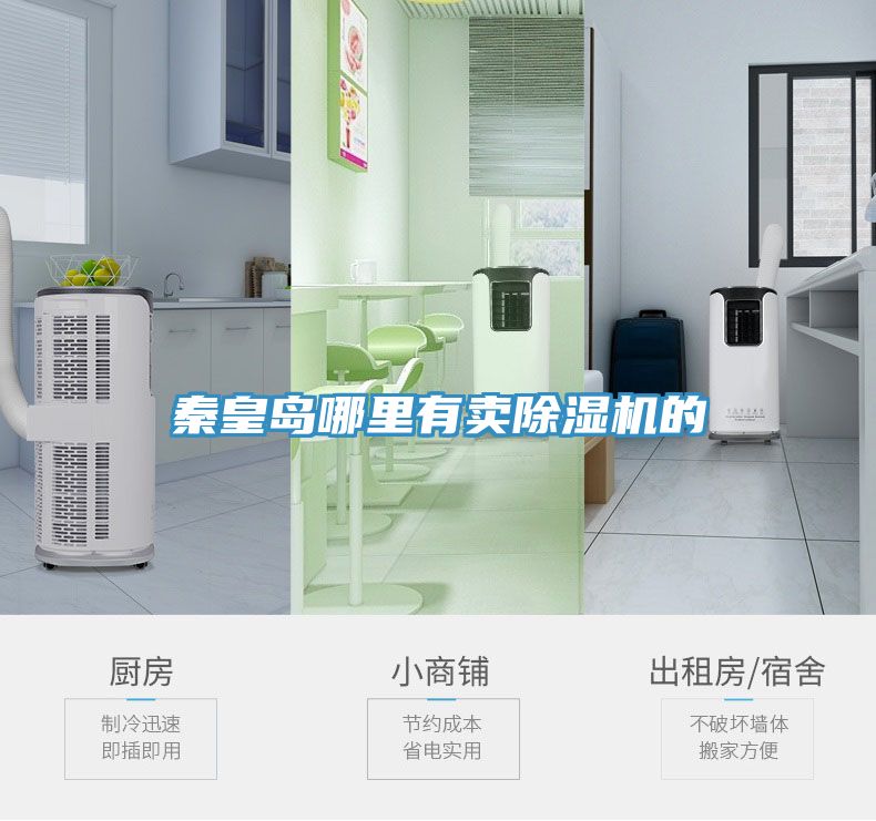 秦皇岛哪里有卖猫咪成人官网的