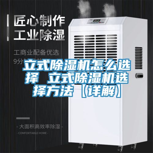立式猫咪成人官网怎么选择 立式猫咪成人官网选择方法【详解】