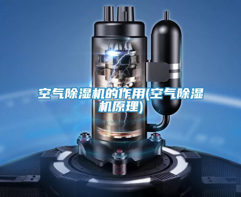 空气猫咪成人官网的作用(空气猫咪成人官网原理)