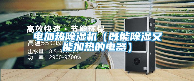 电加热猫咪成人官网（既能除湿又能加热的电器）