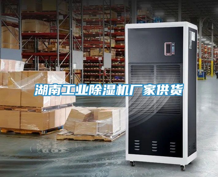 湖南工业猫咪成人官网厂家供货