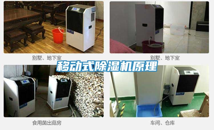 移动式猫咪成人官网原理