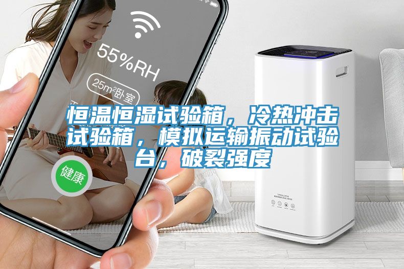 恒温恒湿试验箱，冷热冲击试验箱，模拟运输振动试验台，破裂强度