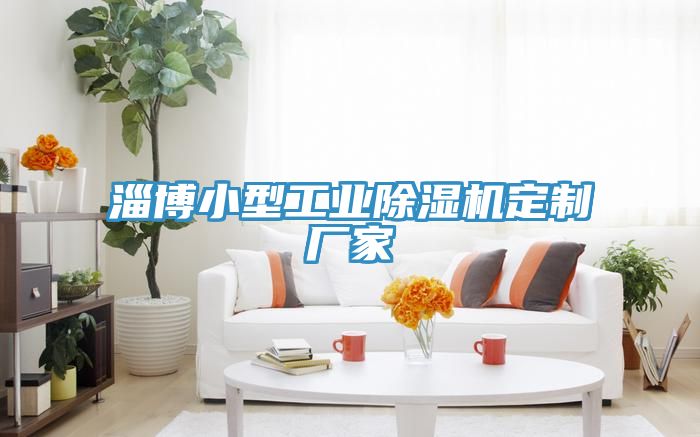 淄博小型工业猫咪成人官网定制厂家