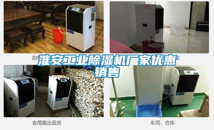 淮安工业猫咪成人官网厂家优惠销售