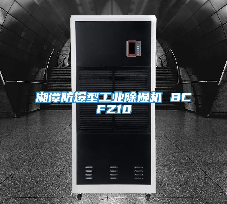 湘潭防爆型工业猫咪成人官网 BCFZ10