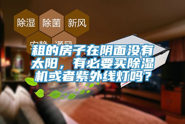 租的房子在阴面没有太阳，有必要买猫咪成人官网或者紫外线灯吗？