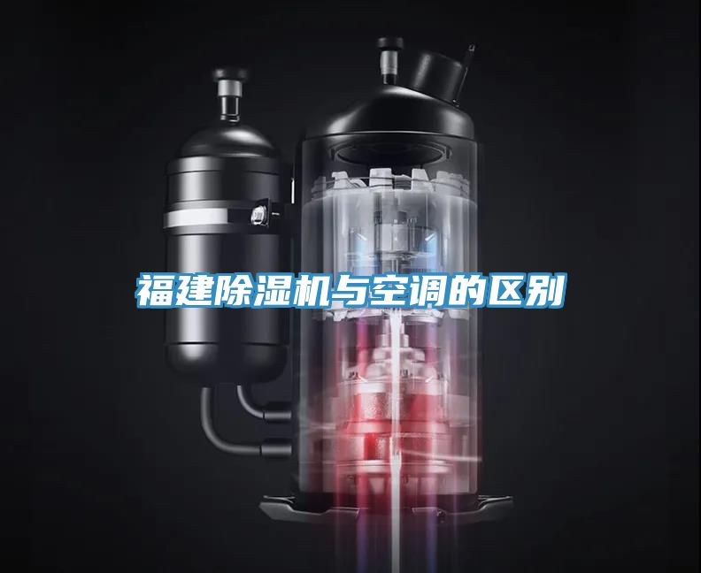 福建猫咪成人官网与空调的区别