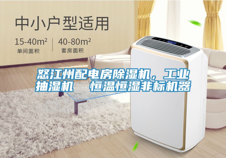 怒江州配电房猫咪成人官网，工业抽湿机  恒温恒湿非标机器