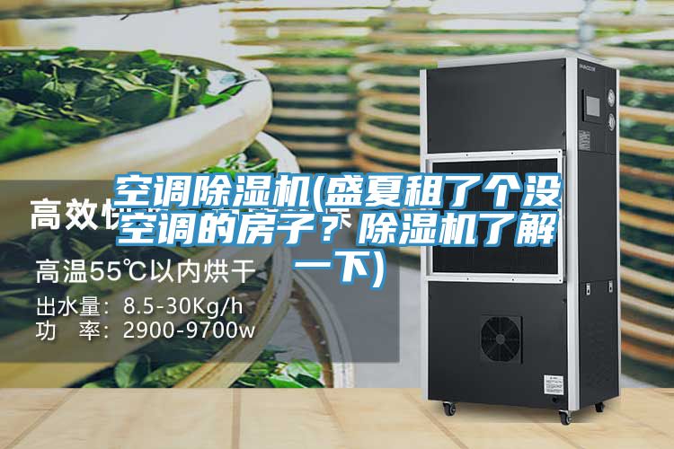 空调猫咪成人官网(盛夏租了个没空调的房子？猫咪成人官网了解一下)