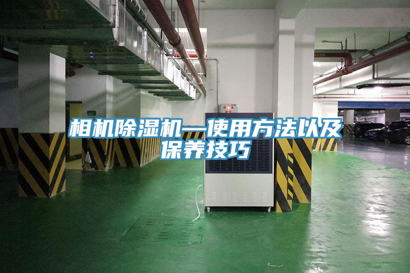 相机猫咪成人官网—使用方法以及保养技巧