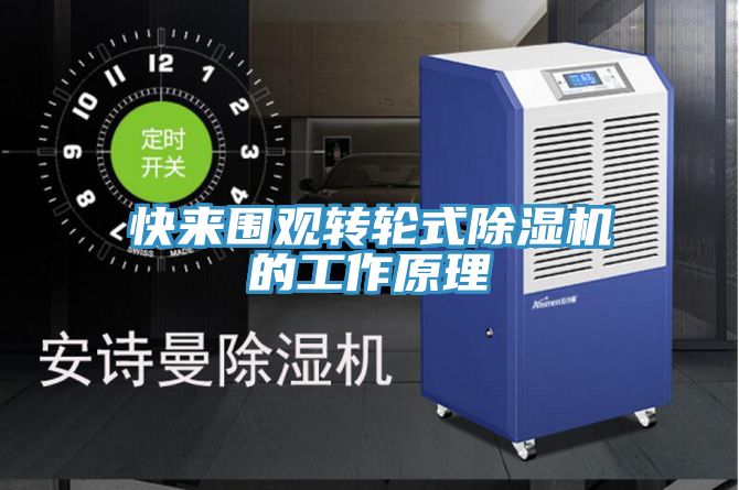 快来围观转轮式猫咪成人官网的工作原理