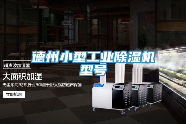 德州小型工业猫咪成人官网型号