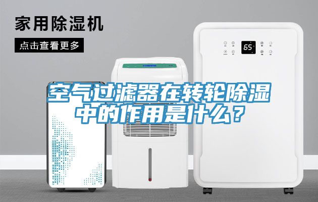 空气过滤器在转轮除湿中的作用是什么？