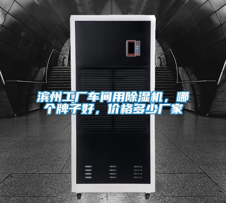 滨州工厂车间用猫咪成人官网，哪个牌子好，价格多少厂家