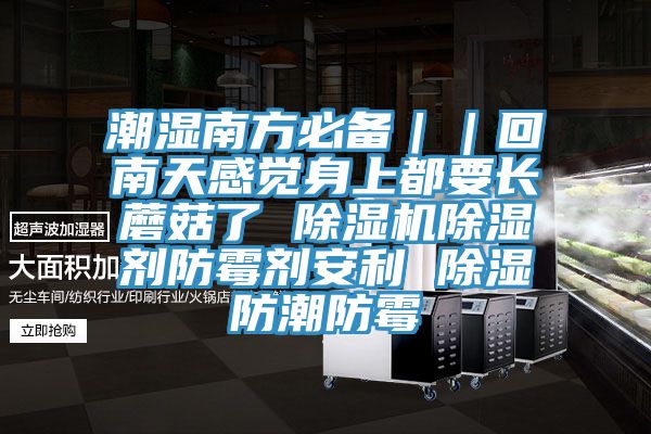 潮湿南方必备｜｜回南天感觉身上都要长蘑菇了 猫咪成人官网除湿剂防霉剂安利 除湿防潮防霉