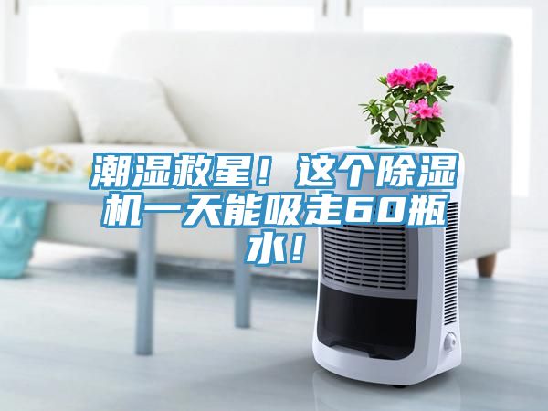 潮湿救星！这个猫咪成人官网一天能吸走60瓶水！