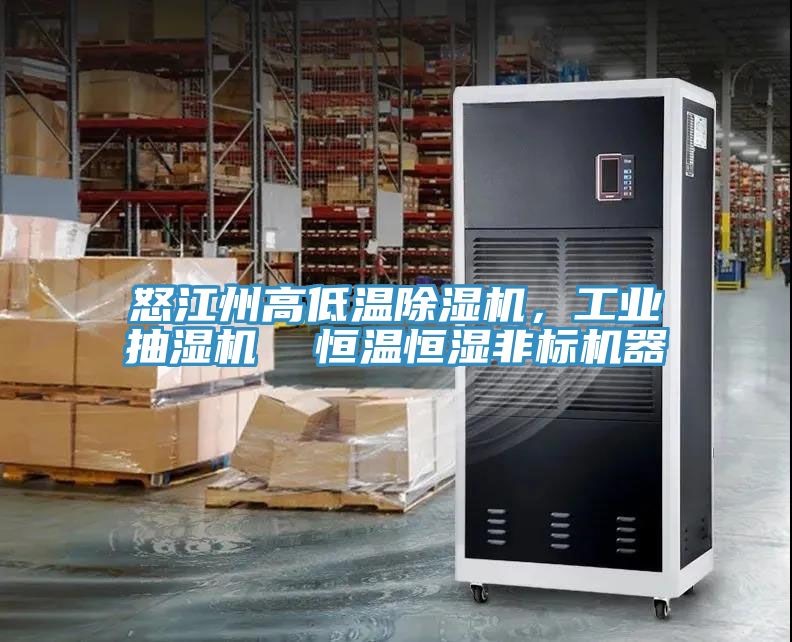 怒江州高低温猫咪成人官网，工业抽湿机  恒温恒湿非标机器