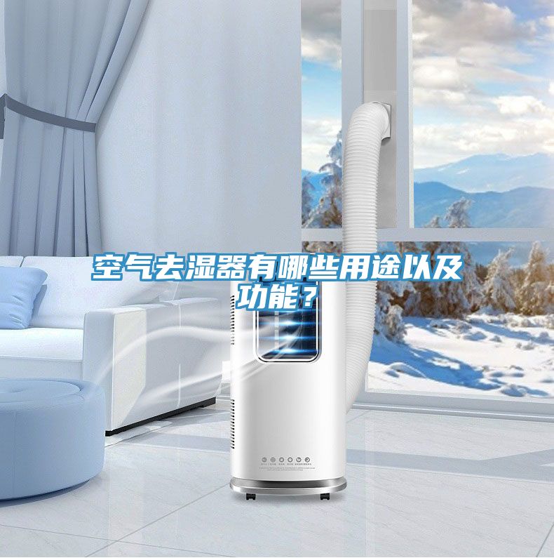 空气去湿器有哪些用途以及功能？