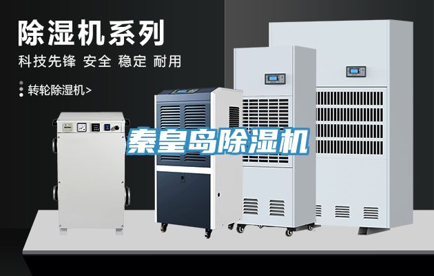 秦皇岛猫咪成人官网