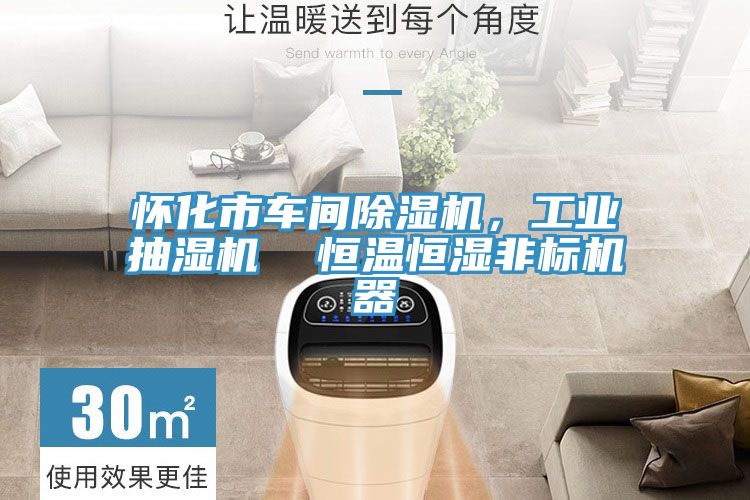 怀化市车间猫咪成人官网，工业抽湿机  恒温恒湿非标机器