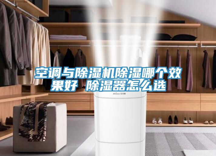 空调与猫咪成人官网除湿哪个效果好 除湿器怎么选