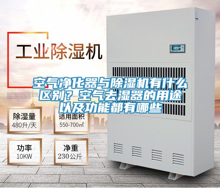 空气净化器与猫咪成人官网有什么区别？空气去湿器的用途以及功能都有哪些