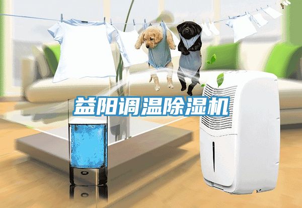 益阳调温猫咪成人官网