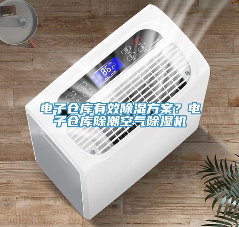 电子仓库有效除湿方案？电子仓库除潮空气猫咪成人官网