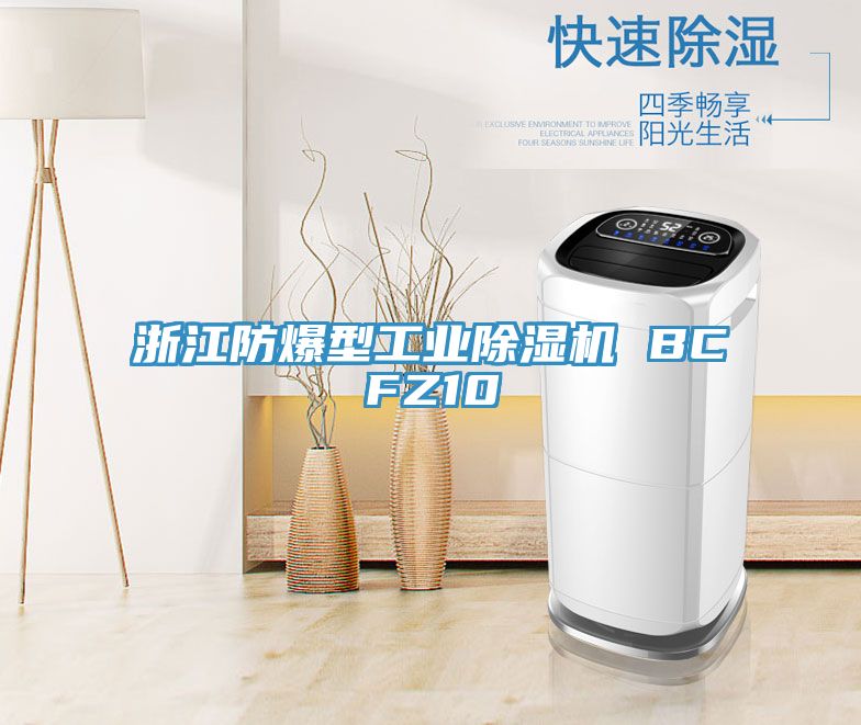 浙江防爆型工业猫咪成人官网 BCFZ10