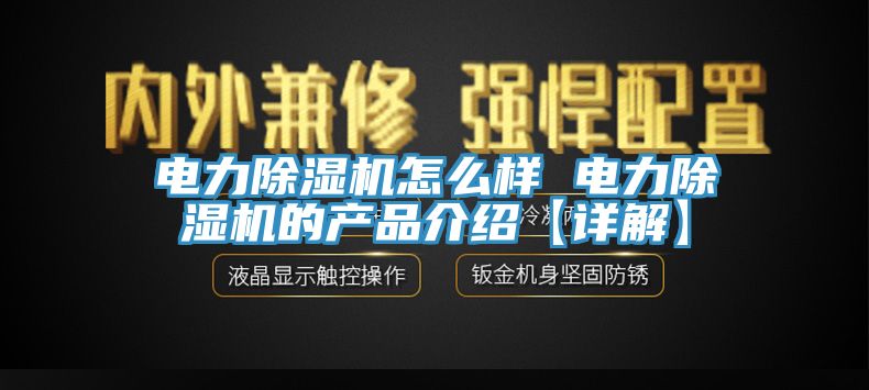 电力猫咪成人官网怎么样 电力猫咪成人官网的产品介绍【详解】