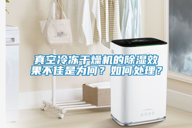 真空冷冻干燥机的除湿效果不佳是为何？如何处理？