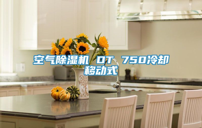 空气猫咪成人官网 DT 750冷却移动式