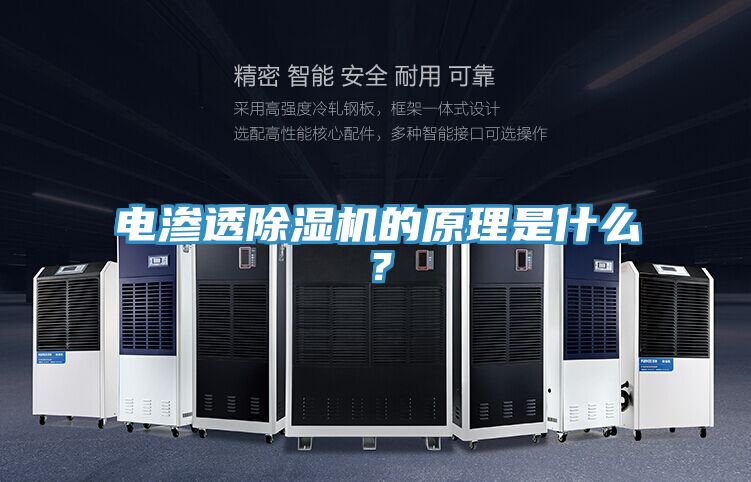 电渗透猫咪成人官网的原理是什么？