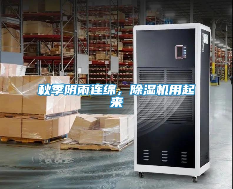 秋季阴雨连绵，猫咪成人官网用起来