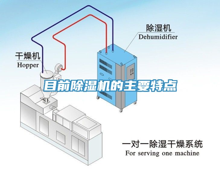 目前猫咪成人官网的主要特点