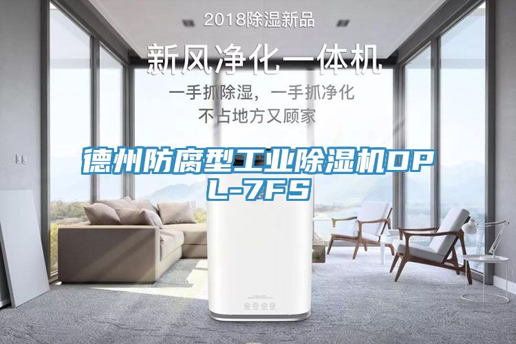 德州防腐型工业猫咪成人官网DPL-7FS