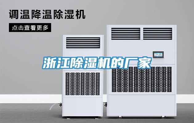 浙江猫咪成人官网的厂家