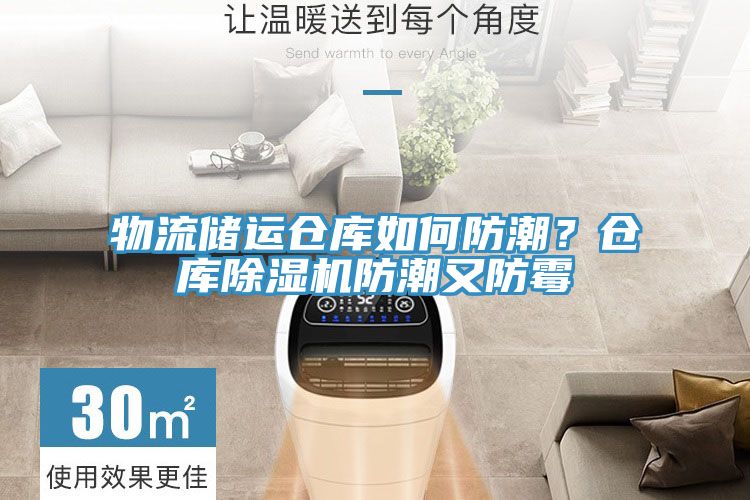物流储运仓库如何防潮？仓库猫咪成人官网防潮又防霉