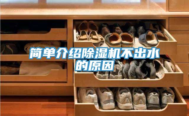 简单介绍猫咪成人官网不出水的原因