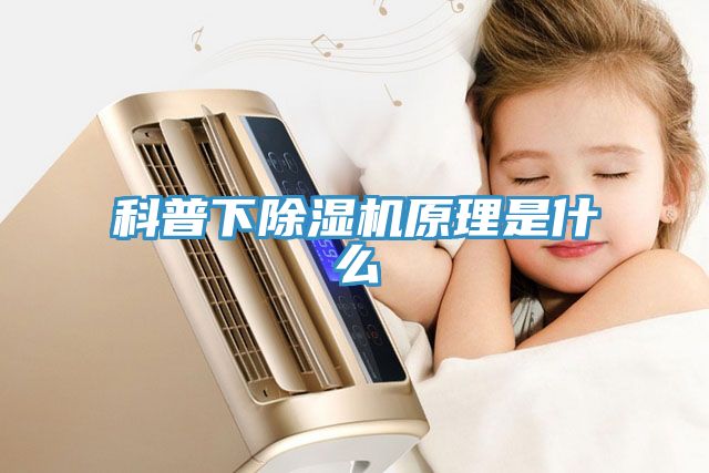 科普下猫咪成人官网原理是什么