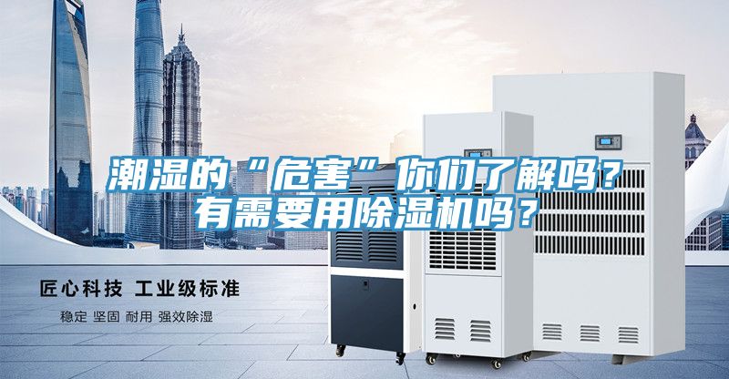 潮湿的“危害”你们了解吗？有需要用猫咪成人官网吗？