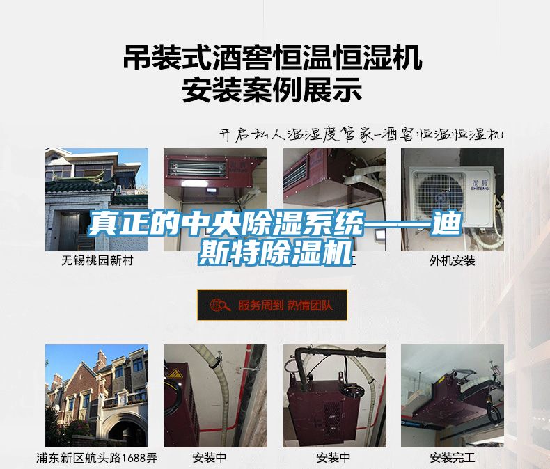 真正的中央除湿系统——迪斯特猫咪成人官网