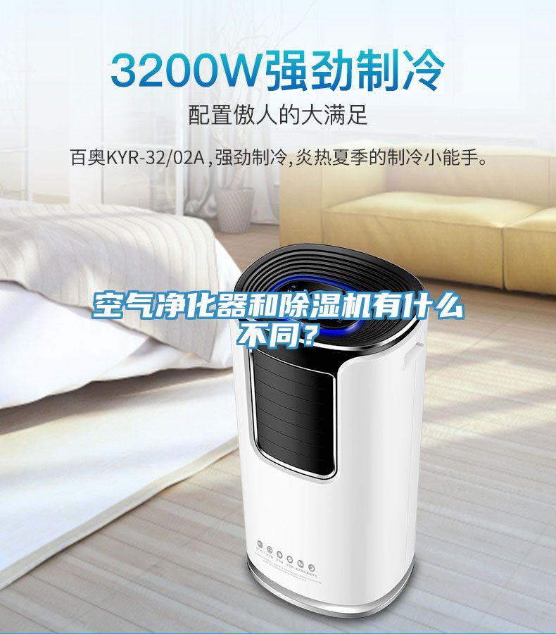 空气净化器和猫咪成人官网有什么不同？