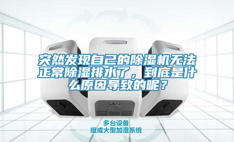 突然发现自己的猫咪成人官网无法正常除湿排水了，到底是什么原因导致的呢？