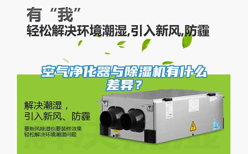 空气净化器与猫咪成人官网有什么差异？