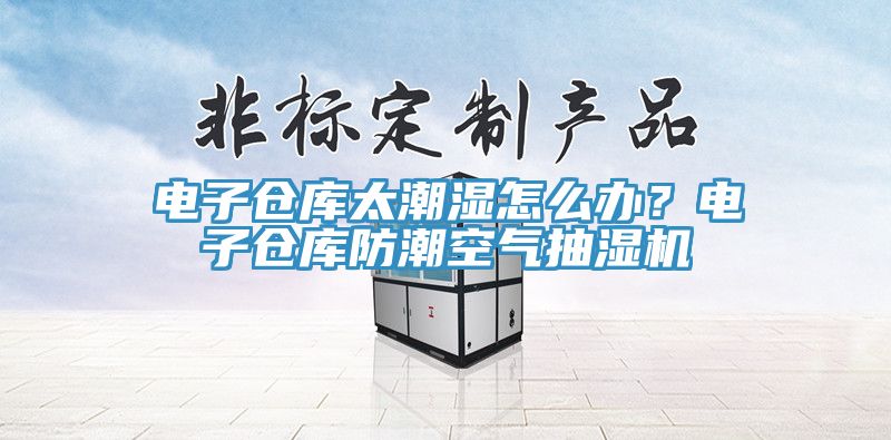 电子仓库太潮湿怎么办？电子仓库防潮空气抽湿机