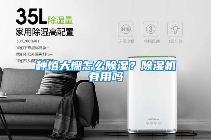 种植大棚怎么除湿？猫咪成人官网有用吗