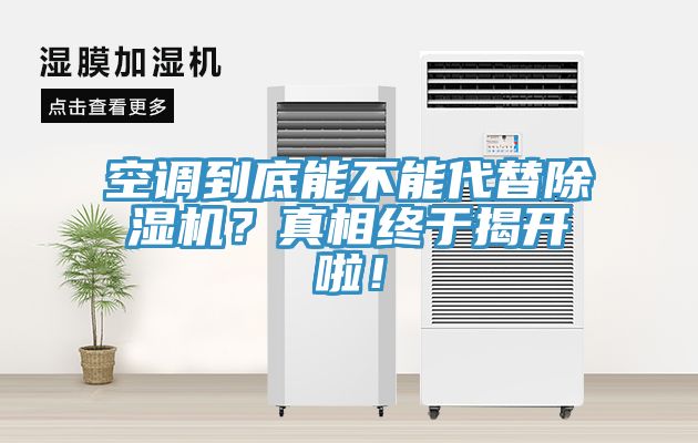 空调到底能不能代替猫咪成人官网？真相终于揭开啦！